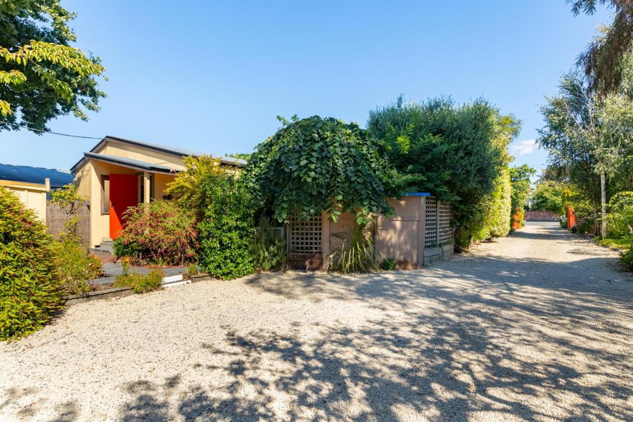 Shy Cottage And Studio Greytown Exterior foto
