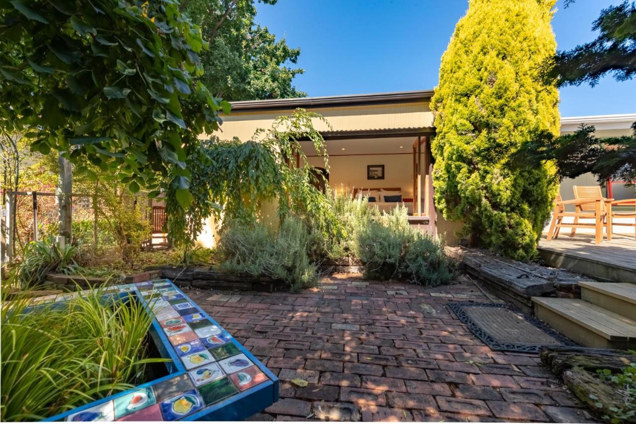 Shy Cottage And Studio Greytown Exterior foto